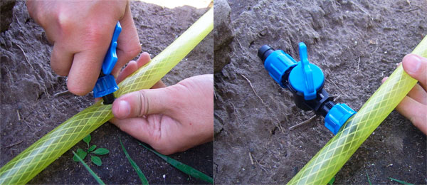 Как сделать капельный полив для огорода своими руками: фото, видео