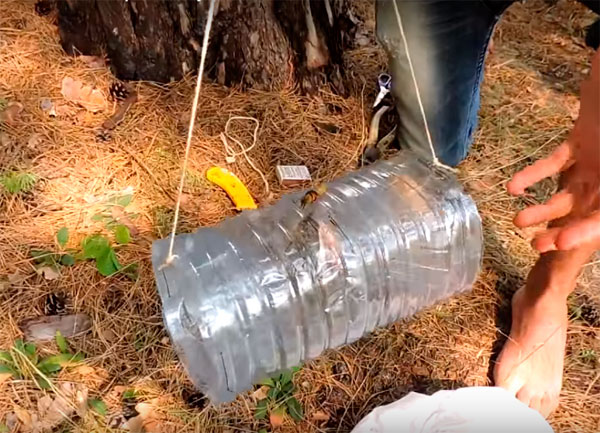 Раколовка из бутылок: фото, видео изготовления ловушки